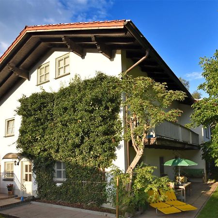 Apartment in Regen with Terrace, Garden, BBQ, Pool, Hammock Exterior foto